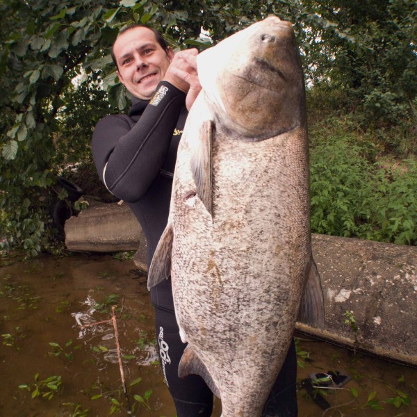 Couteau de plongée et de chasse sous-marine 215 WL